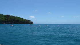 Fischer in Port Resolution, Tanna.