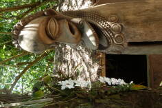 Secret Garden, Efate.