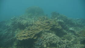 Schnorcheln bei Mystery Island, Anelcauhat, Aneityum.