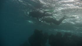 Schnorcheln bei Mystery Island, Anelcauhat, Aneityum.