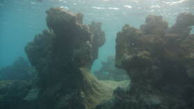 Schnorcheln bei Mystery Island, Anelcauhat, Aneityum.