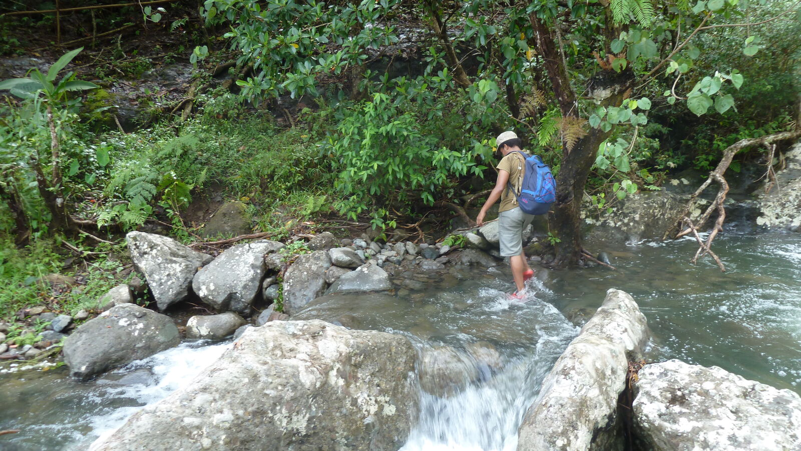 Wanderung im Koroyanitu National Heritage Park.