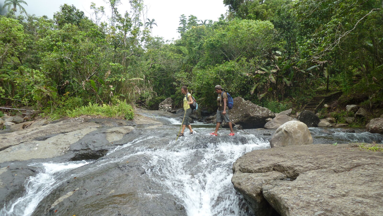 Wanderung im Koroyanitu National Heritage Park.