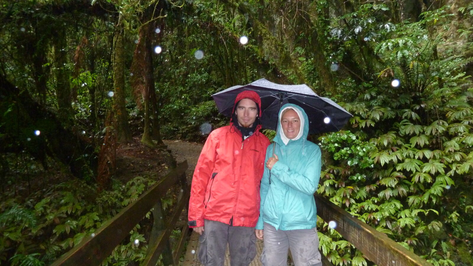 Ruakuri Walk, Waitomo.