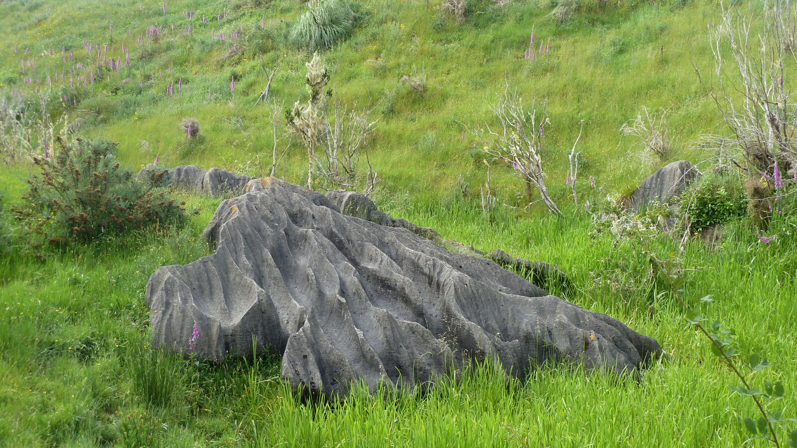Mangapohue.