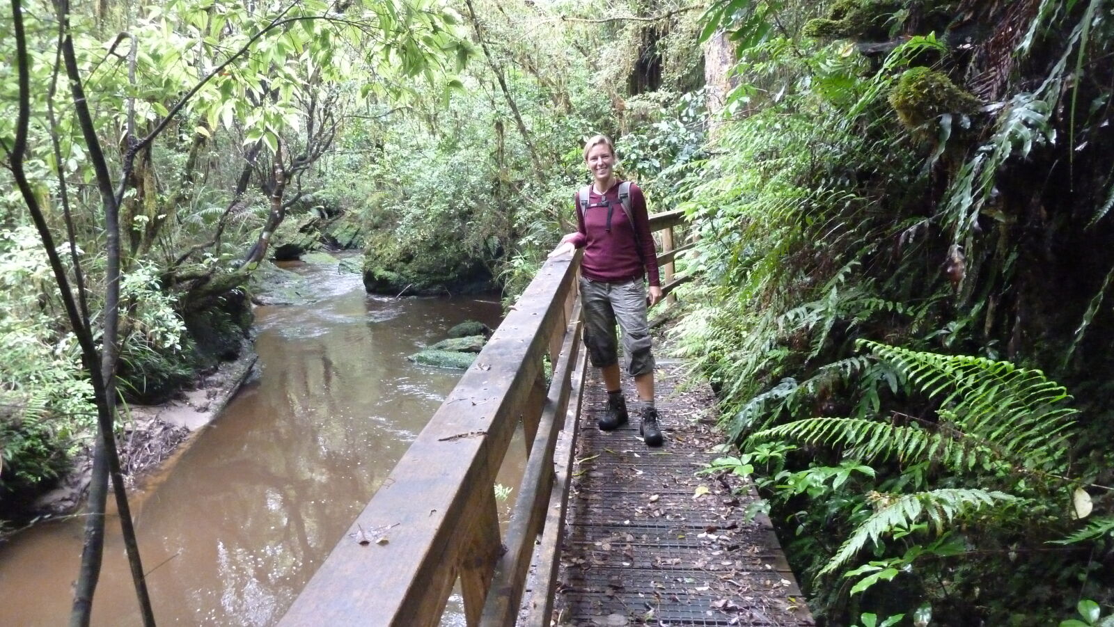 Tawarau Forest Loop.