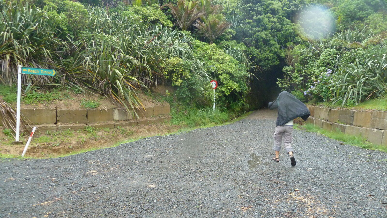 Ngarupupu Point.