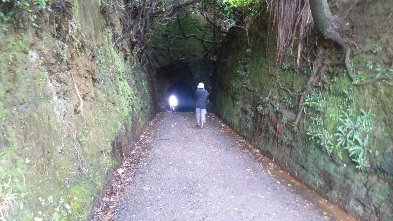 Ngarupupu Point.