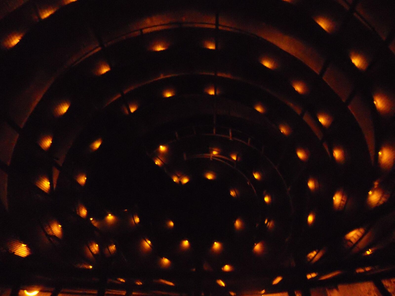 Ruakuri Cave, Waitomo. (Copyright © Isabella Raida)