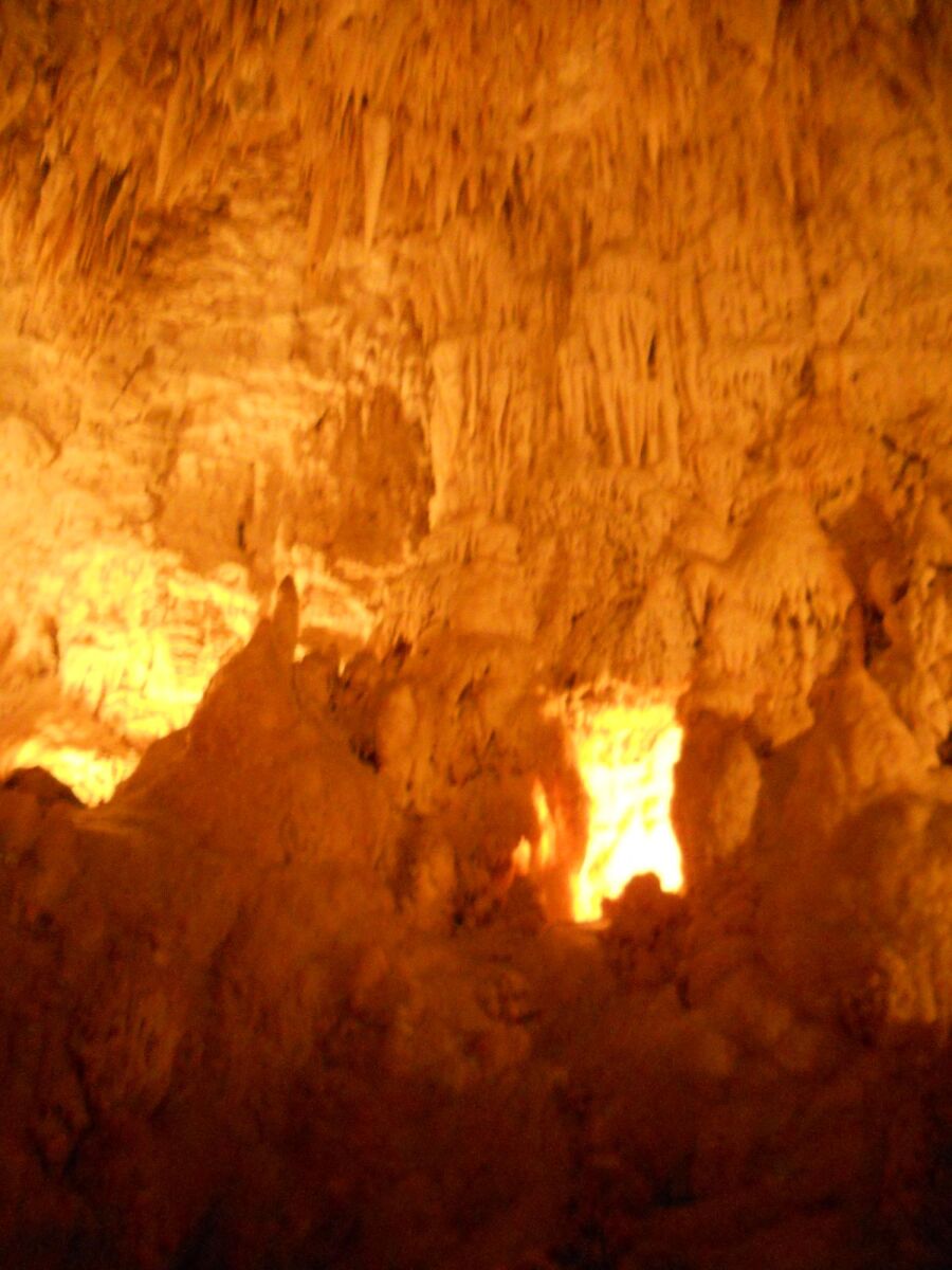 Ruakuri Cave, Waitomo. (Copyright © Isabella Raida)