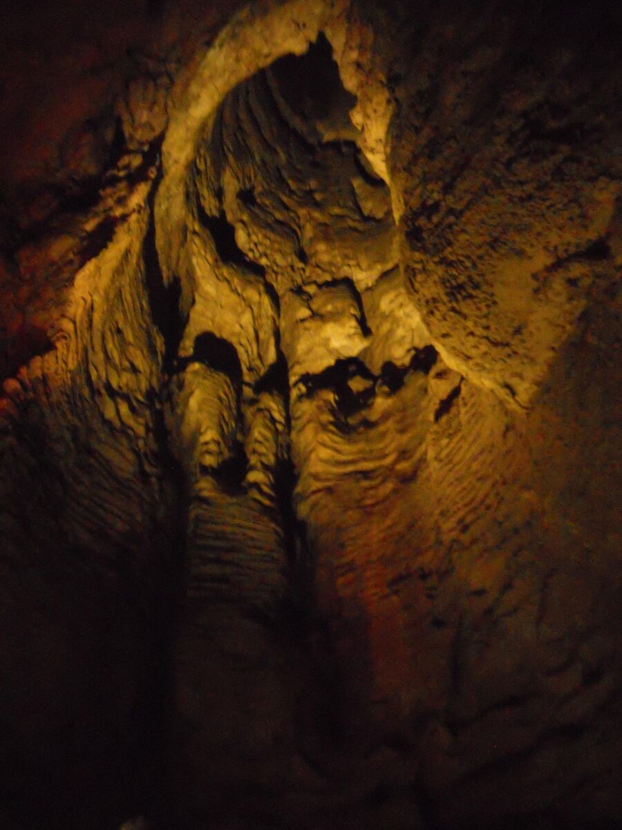 Ruakuri Cave, Waitomo. (Copyright © Isabella Raida)