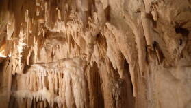 Aranui Cave, Waitomo.