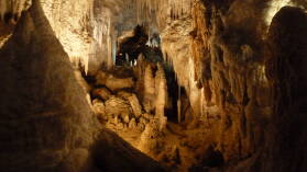 Aranui Cave, Waitomo.