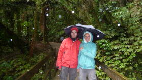 Ruakuri Walk, Waitomo.