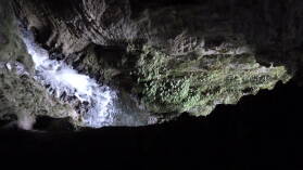 Ruakuri Walk, Waitomo.
