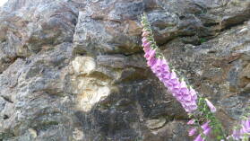 Mangapohue.