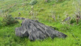Mangapohue.