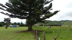 Marokopa.