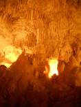Ruakuri Cave, Waitomo. (Copyright © Isabella Raida)
