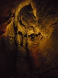 Ruakuri Cave, Waitomo. (Copyright © Isabella Raida)