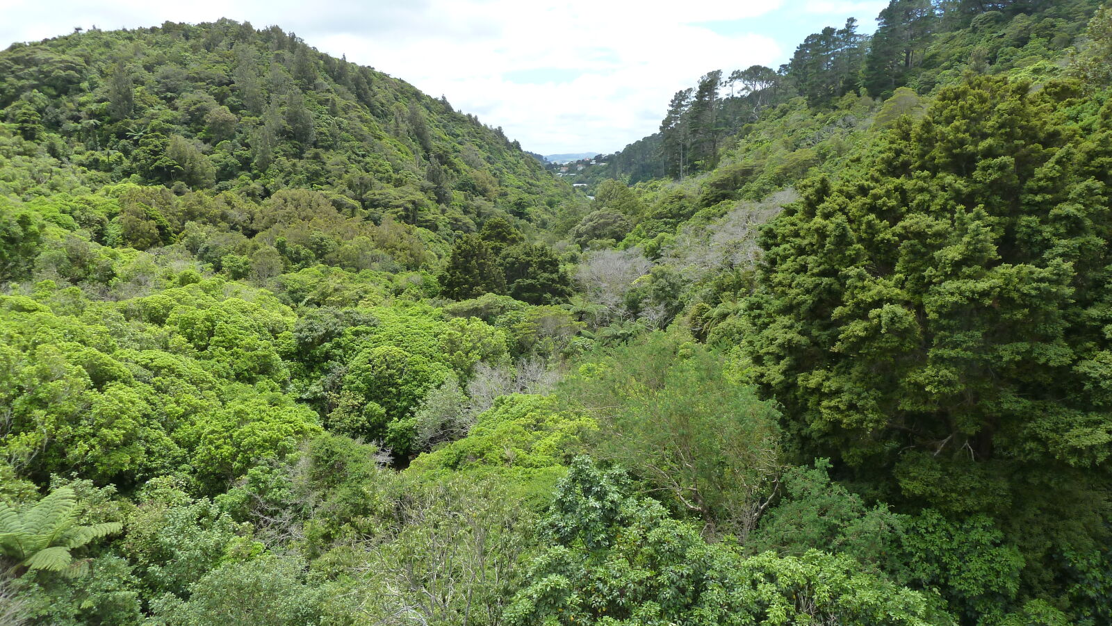Zealandia.