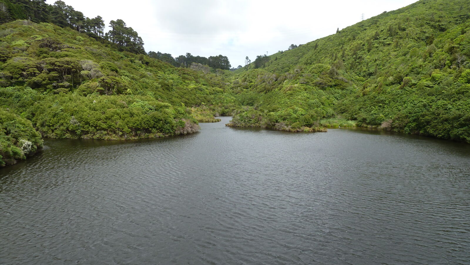 Zealandia.