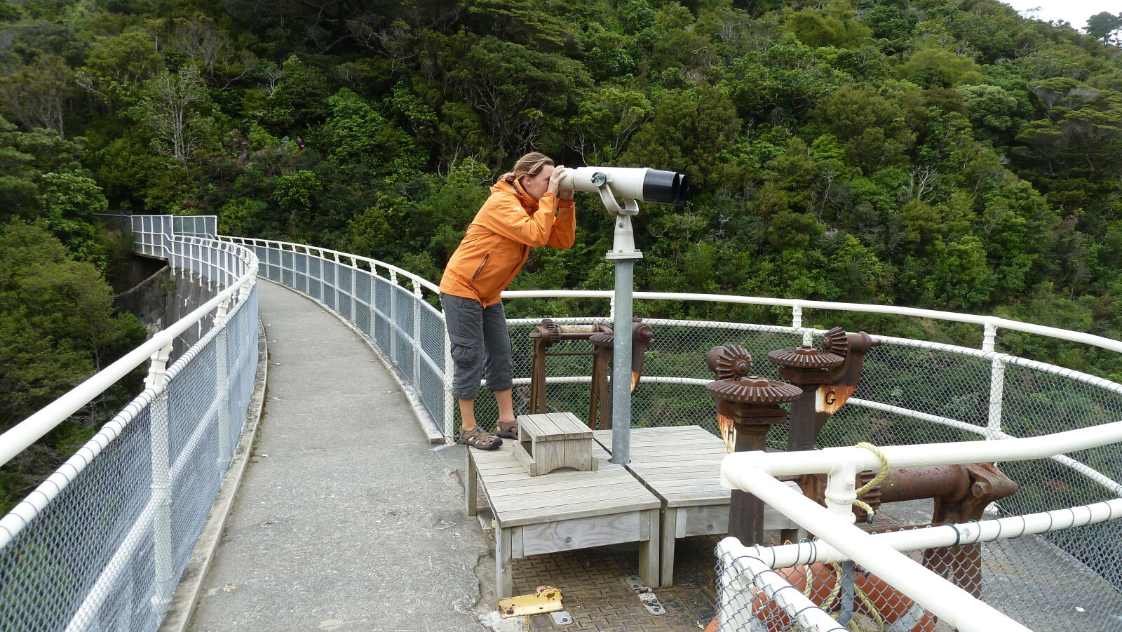 Zealandia.