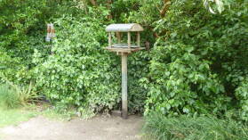Kakafütterungsstation, Zealandia.