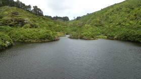 Zealandia.