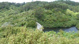 Zealandia.