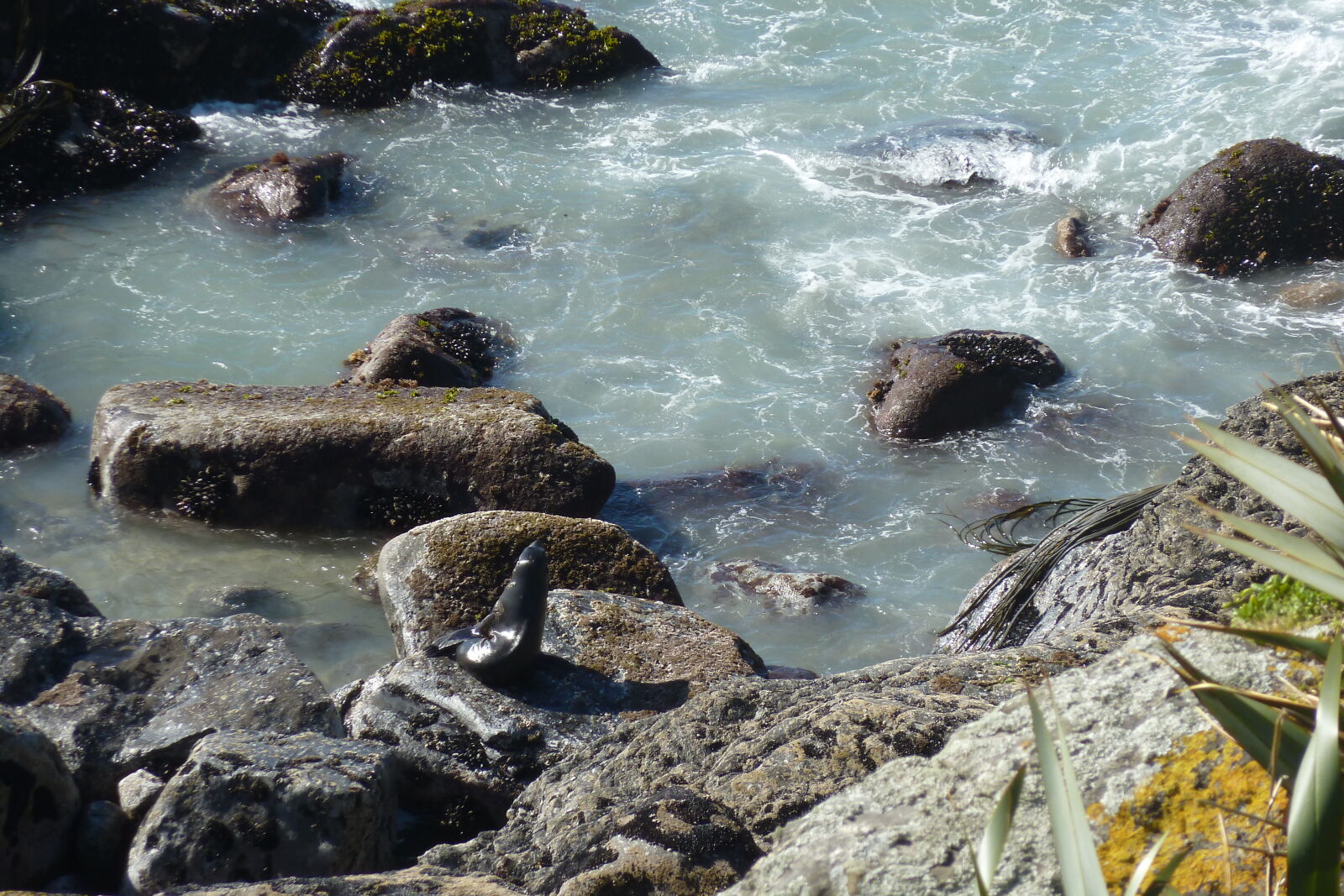 Tauranga Bay.