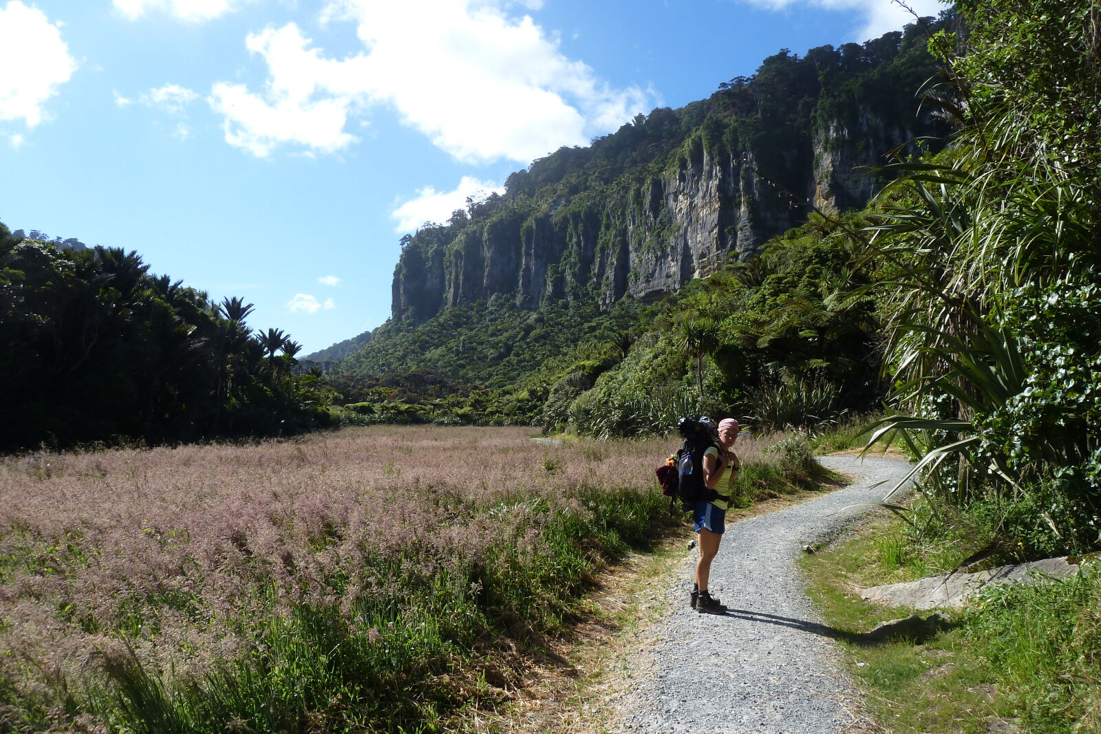 Pororari River, Inland Pack Track.