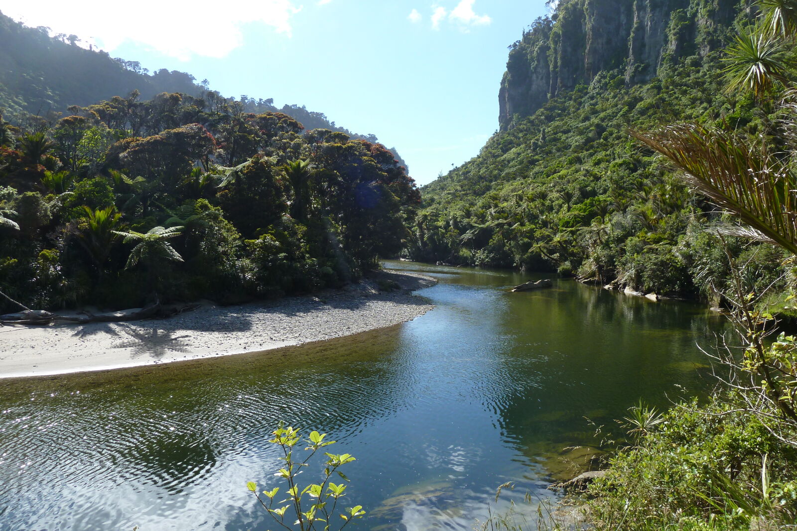 Pororari River, Inland Pack Track.