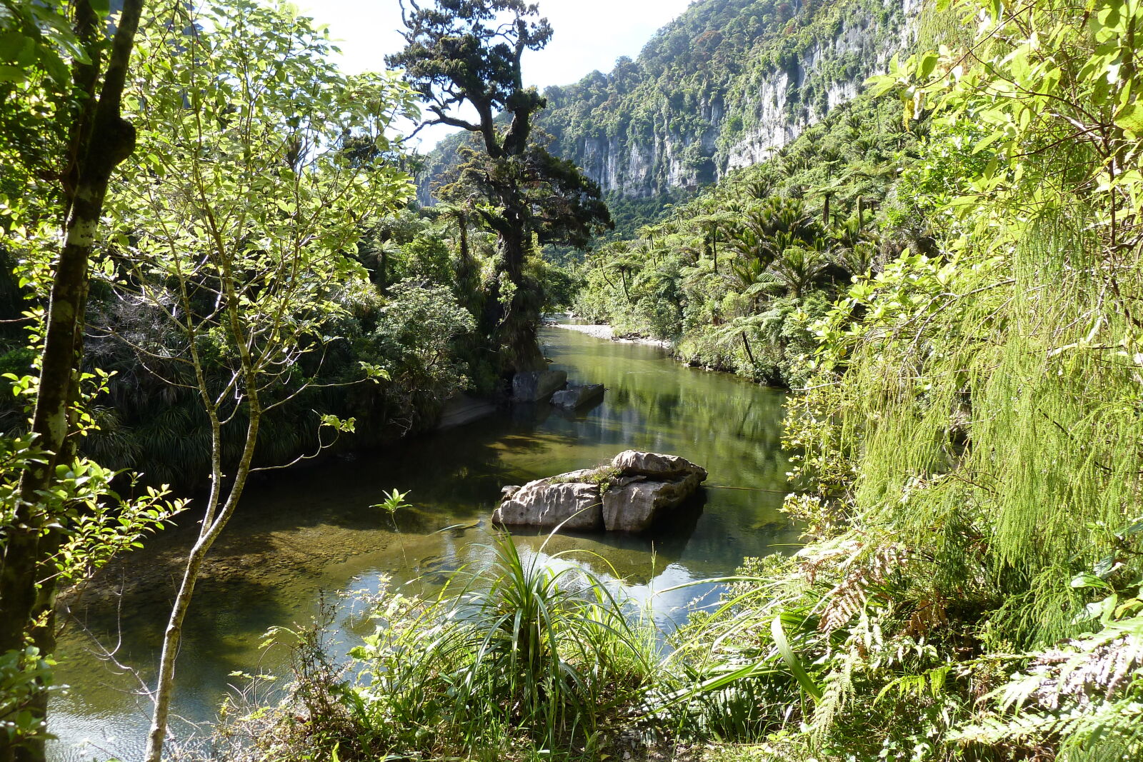 Pororari River, Inland Pack Track.