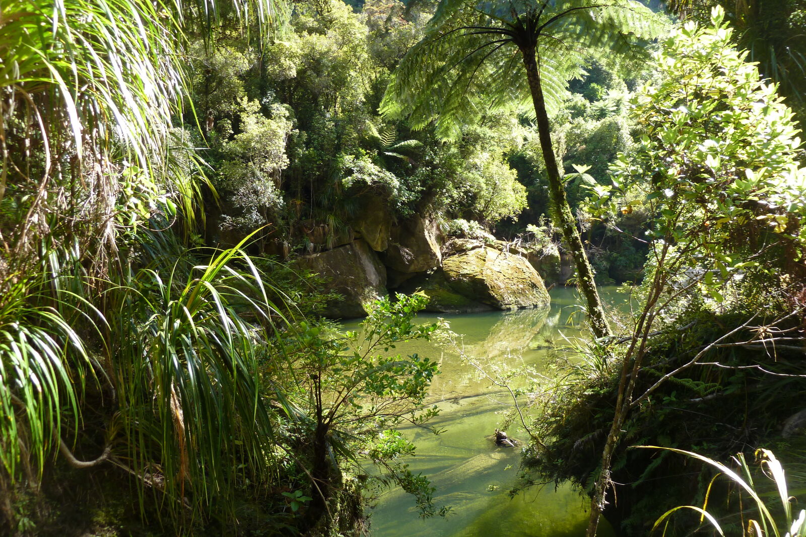 Pororari River, Inland Pack Track.