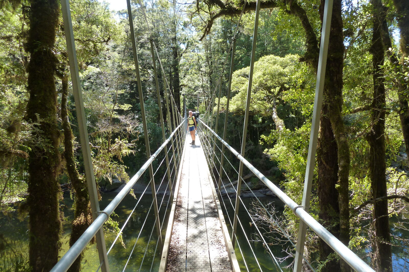 Pororari River, Inland Pack Track.