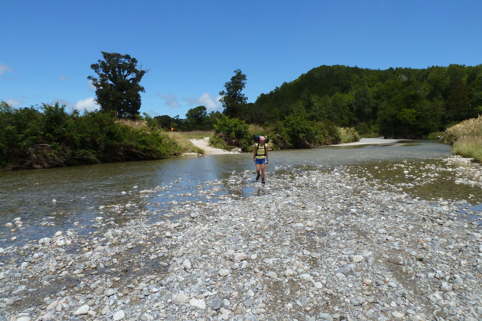 Bullock Creek, Inland Pack Track.