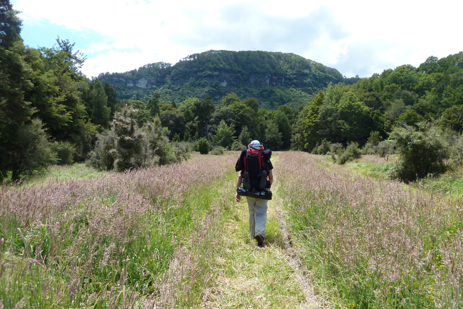 Bullock Creek, Inland Pack Track.