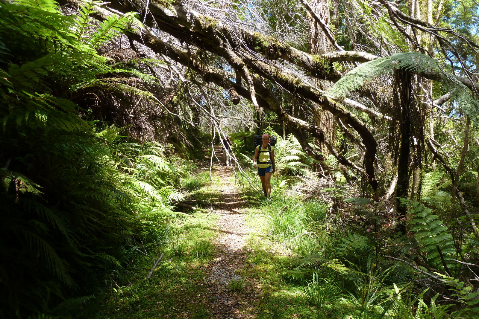 Inland Pack Track.