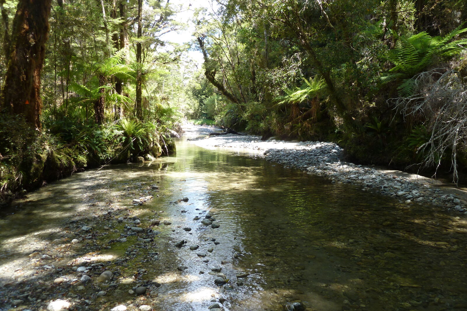 Fossil Creek, Inland Pack Track.