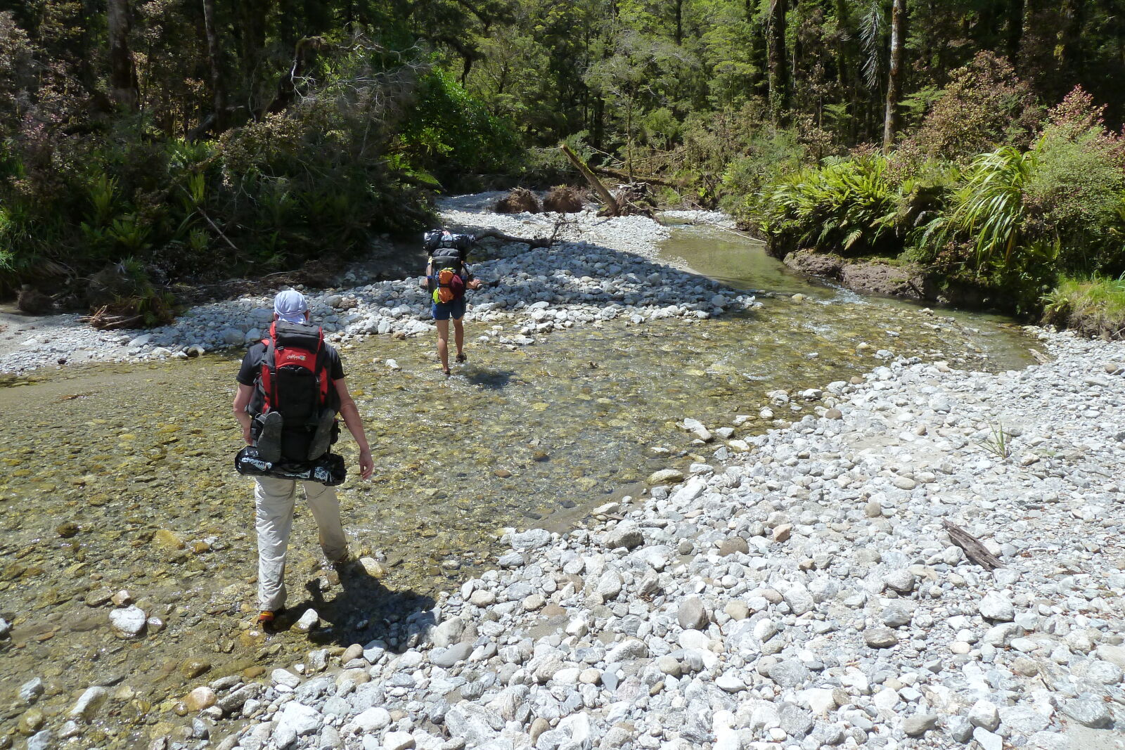 Fossil Creek, Inland Pack Track.