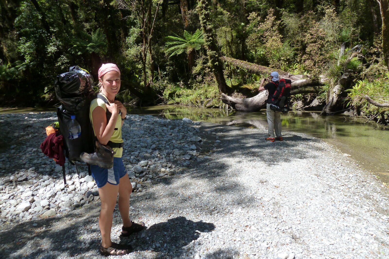 Fossil Creek, Inland Pack Track.