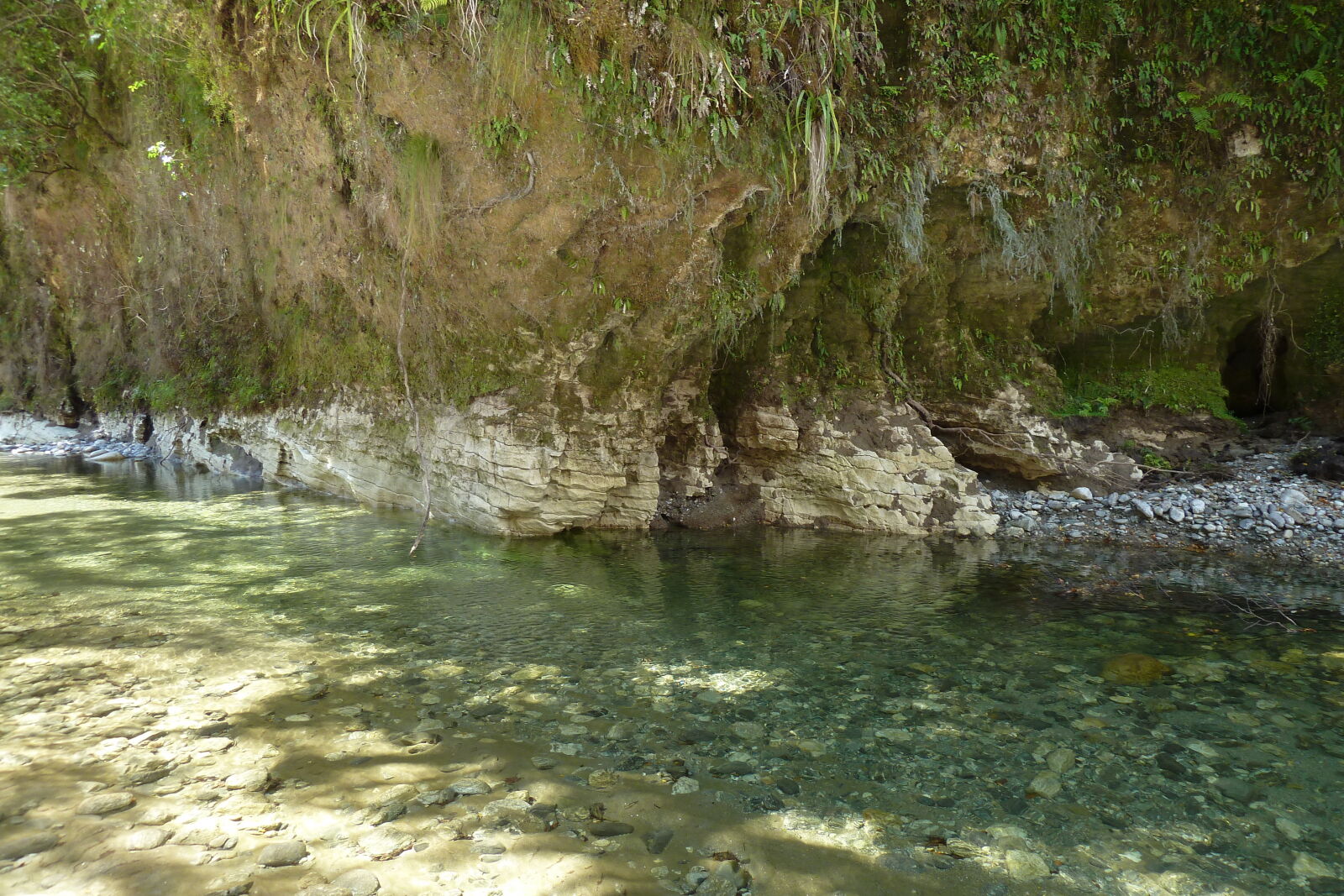 Dilemma Creek, Inland Pack Track.