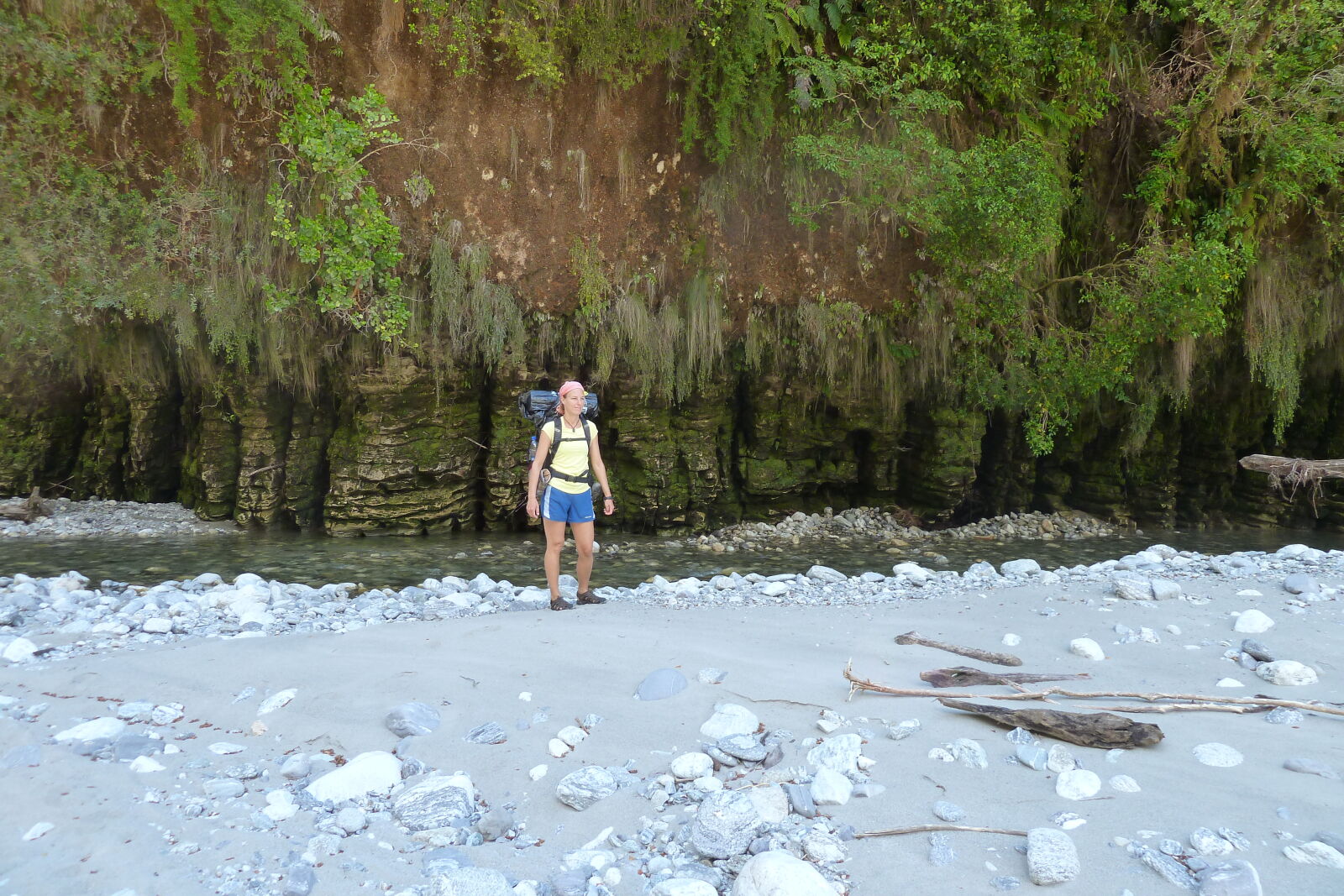 Dilemma Creek, Inland Pack Track.