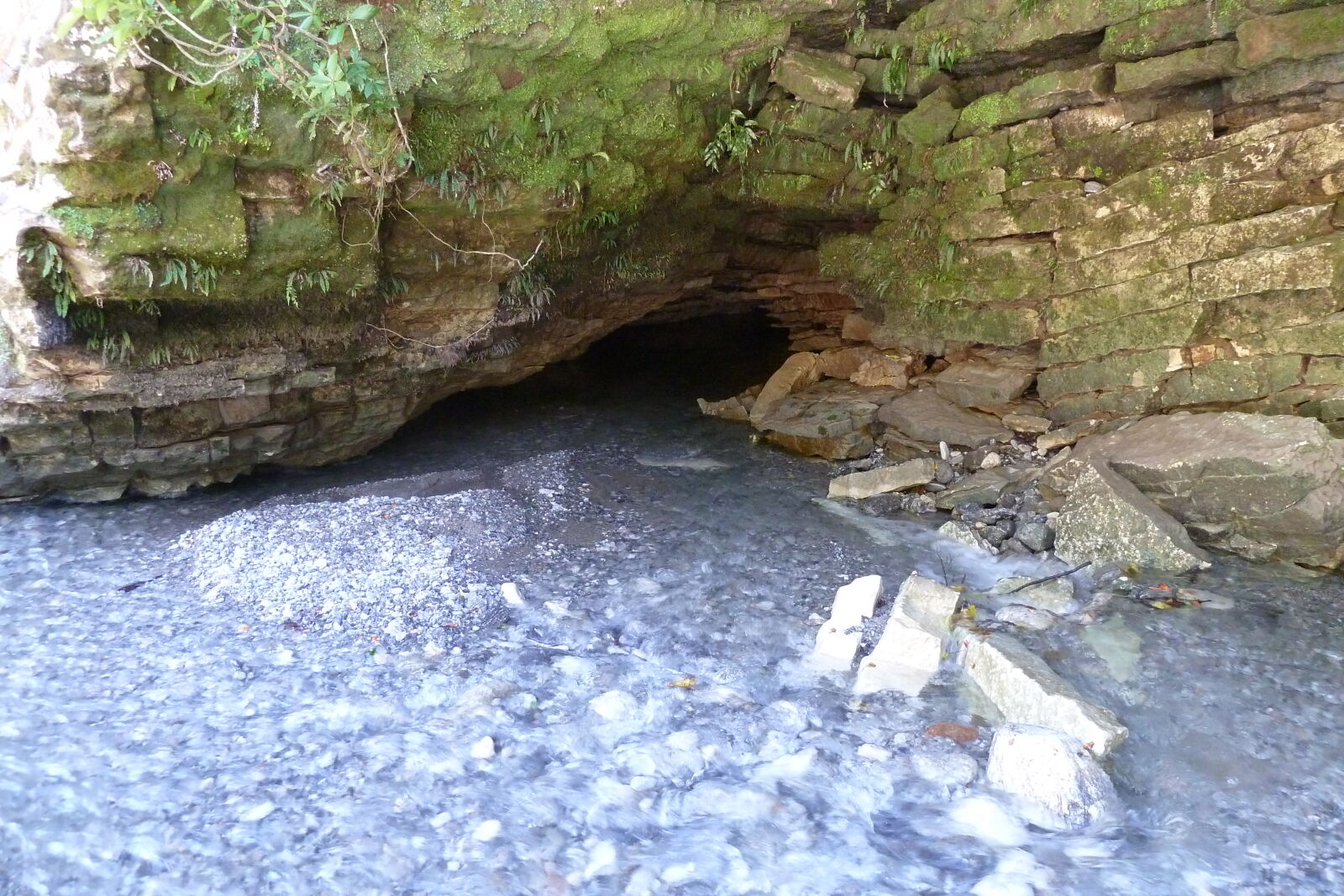 Dilemma Creek, Inland Pack Track.