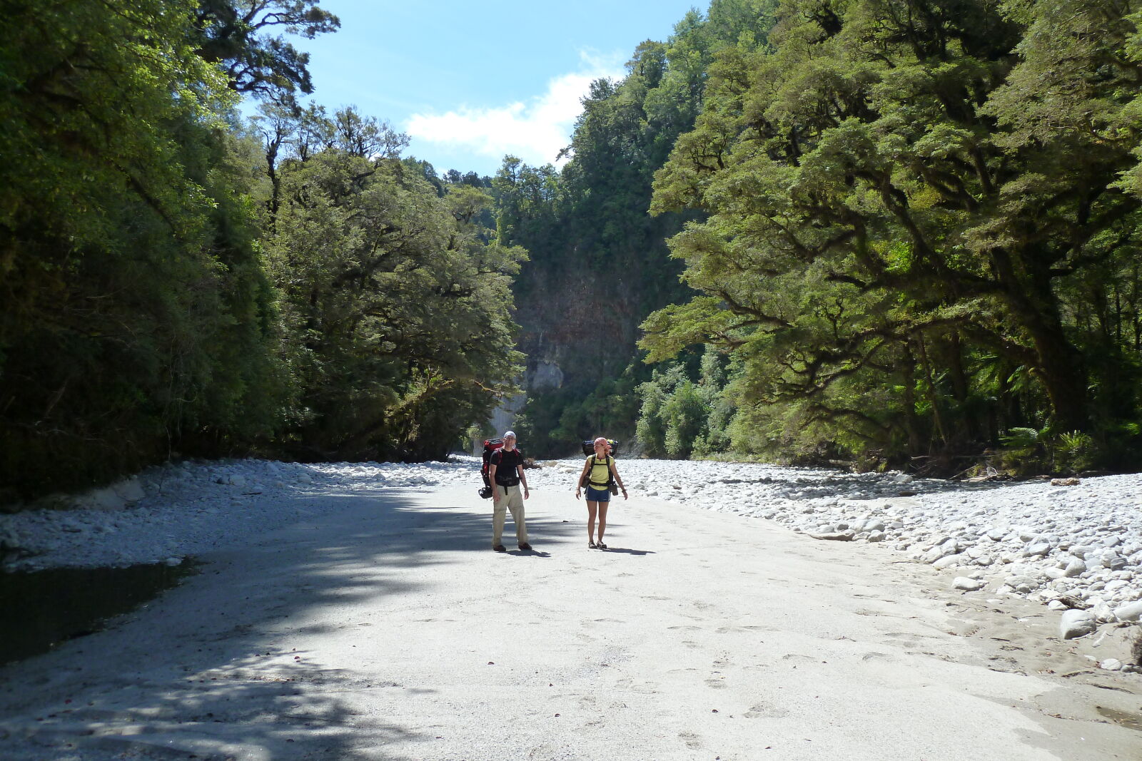 Dilemma Creek, Inland Pack Track.