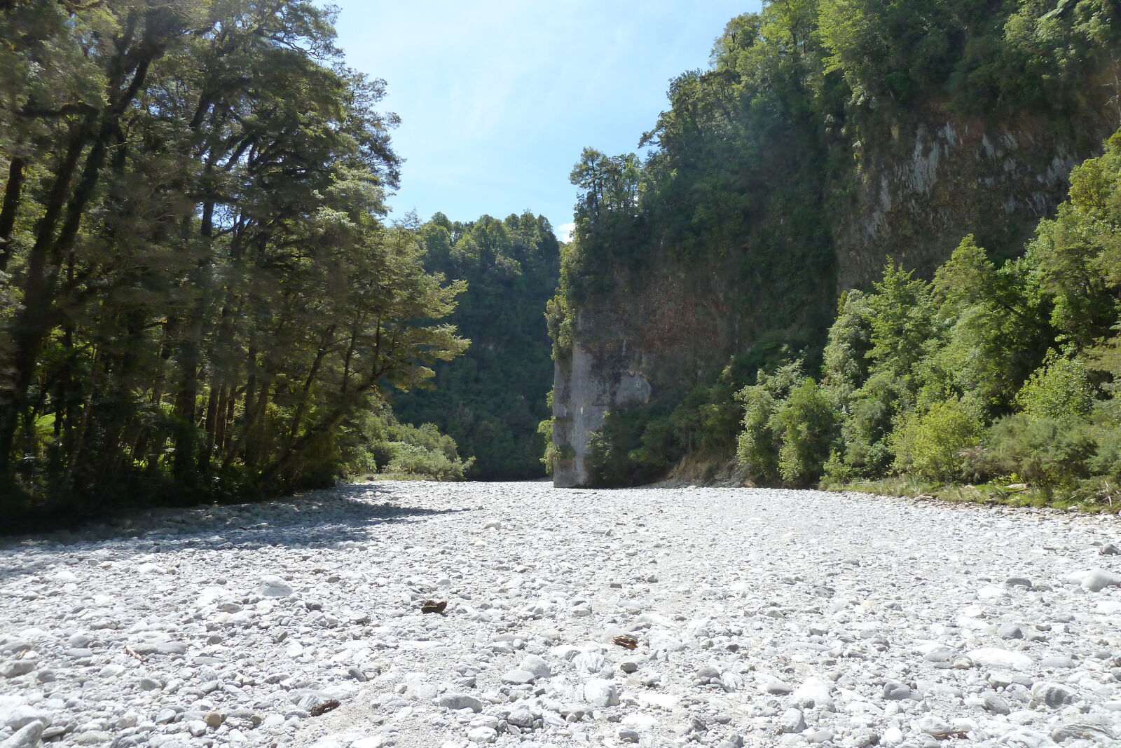 Dilemma Creek, Inland Pack Track.
