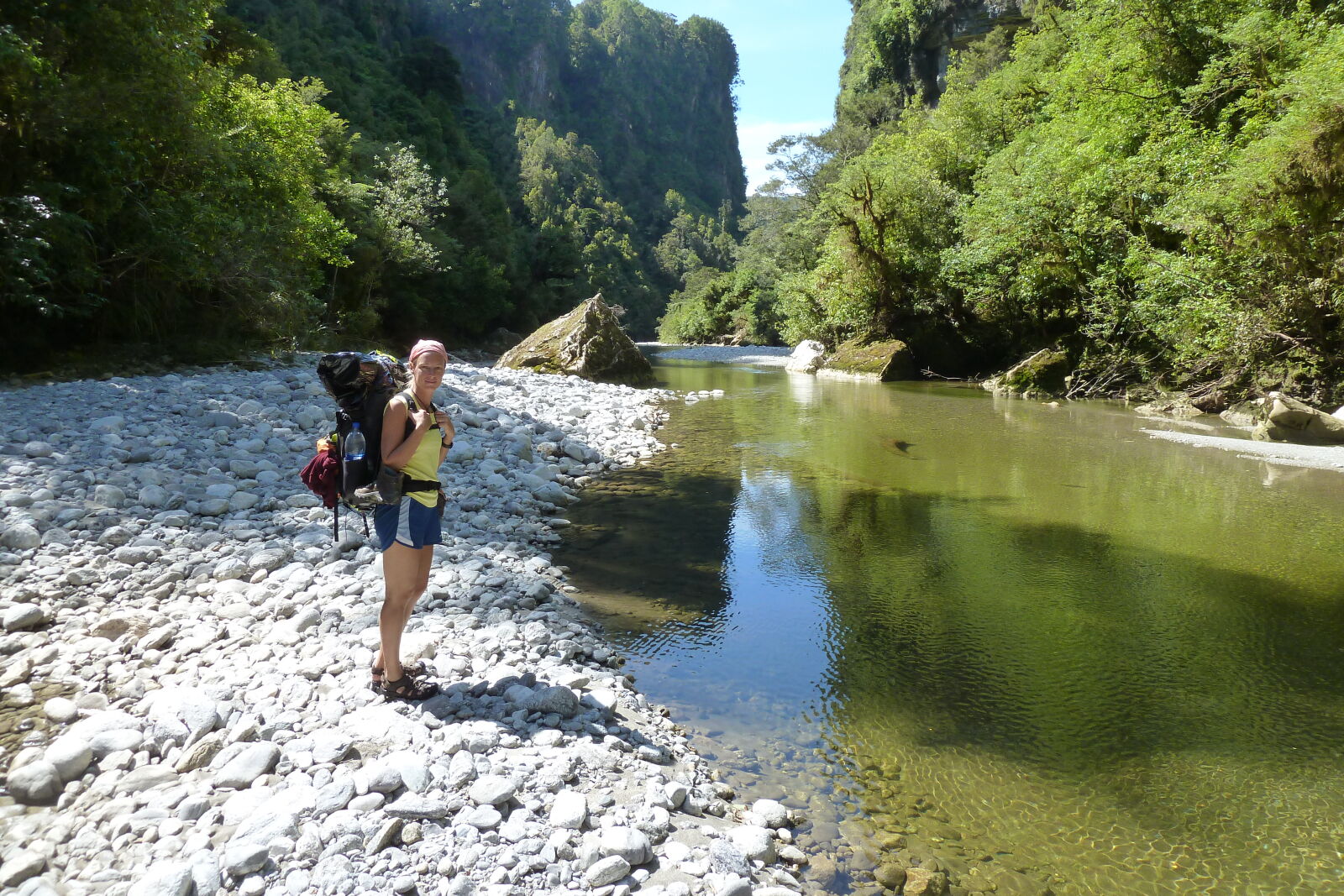 Dilemma Creek, Inland Pack Track.