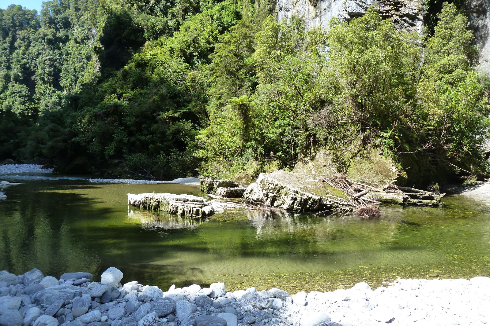 Dilemma Creek, Inland Pack Track.