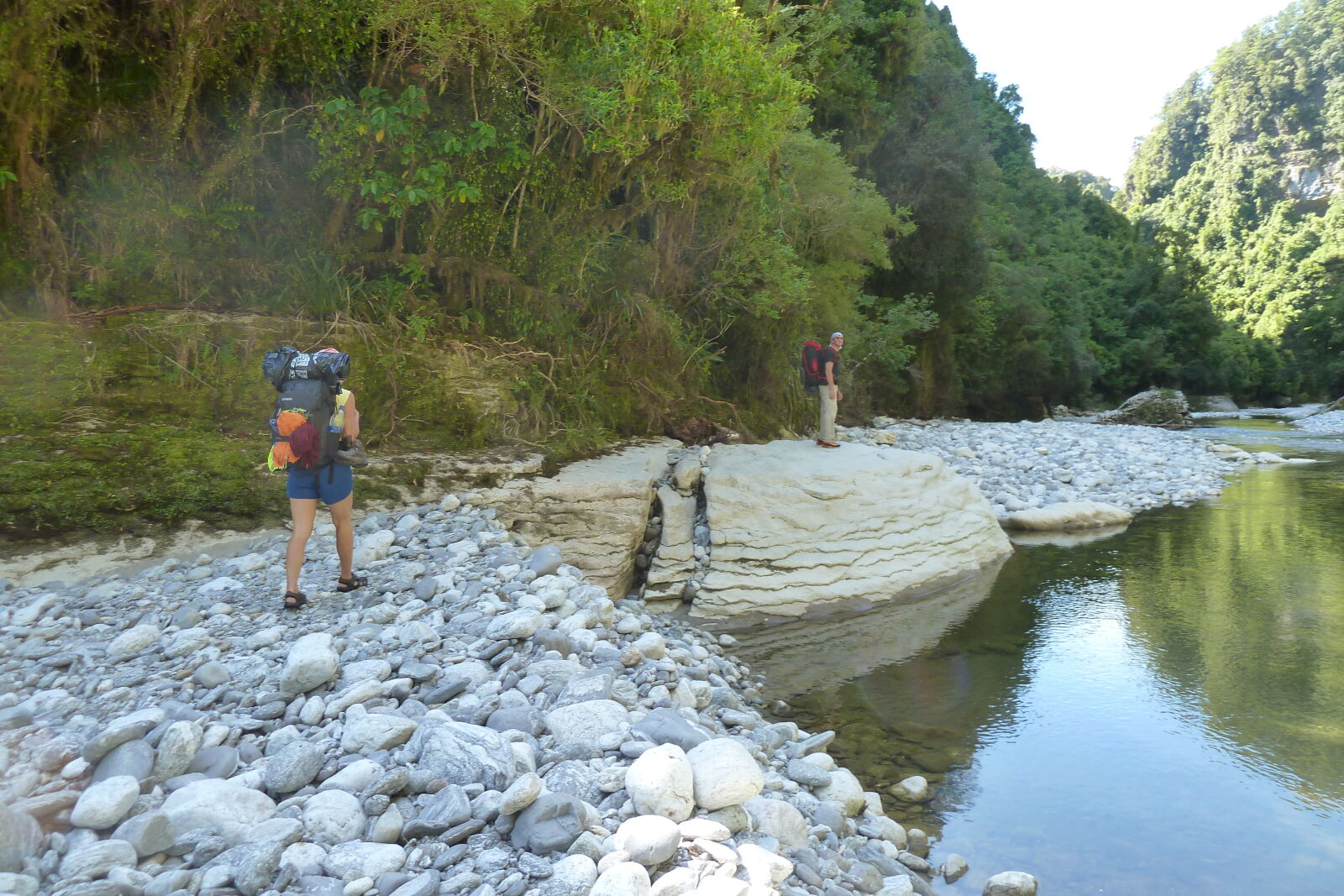 Dilemma Creek, Inland Pack Track.